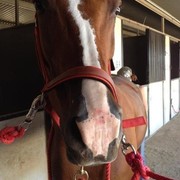 2012 Youth Nationals Photo Contest