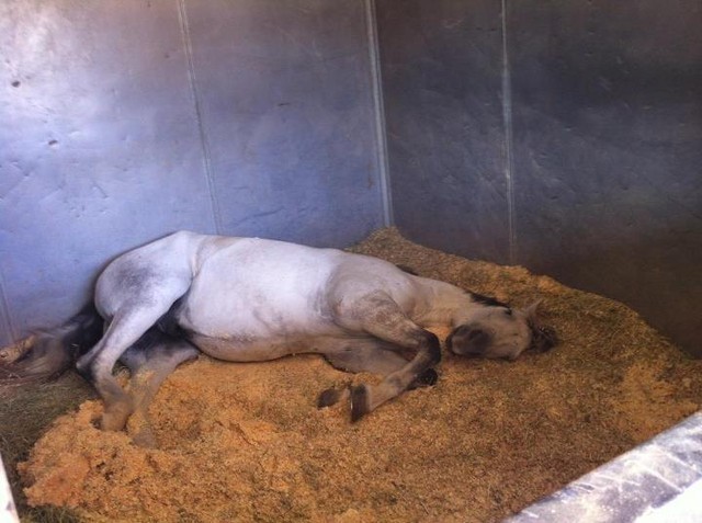 2012 Youth Nationals Photo Contest