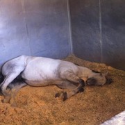 2012 Youth Nationals Photo Contest