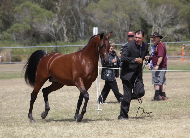 2012 Sprint Affair - Queensland Australia