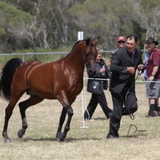 2012 Sprint Affair - Queensland Australia