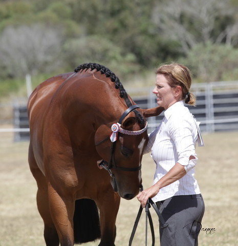 2012 Sprint Affair - Queensland Australia