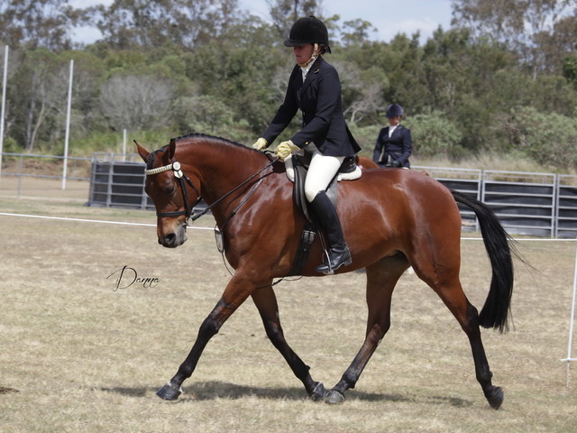 2012 Sprint Affair - Queensland Australia