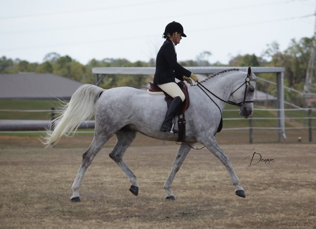 2012 Sprint Affair - Queensland Australia