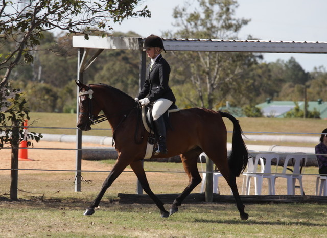 2012 Sprint Affair - Queensland Australia