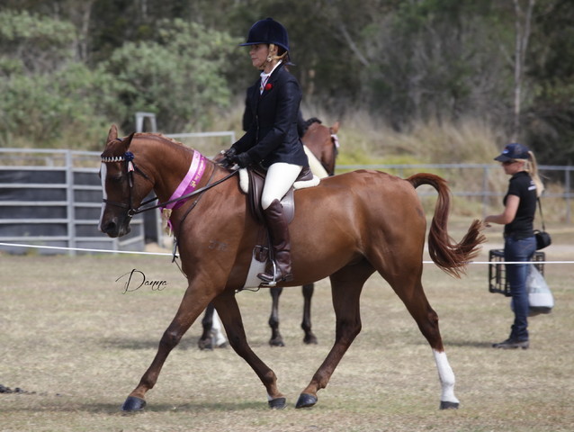 2012 Sprint Affair - Queensland Australia