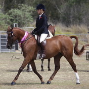 2012 Sprint Affair - Queensland Australia