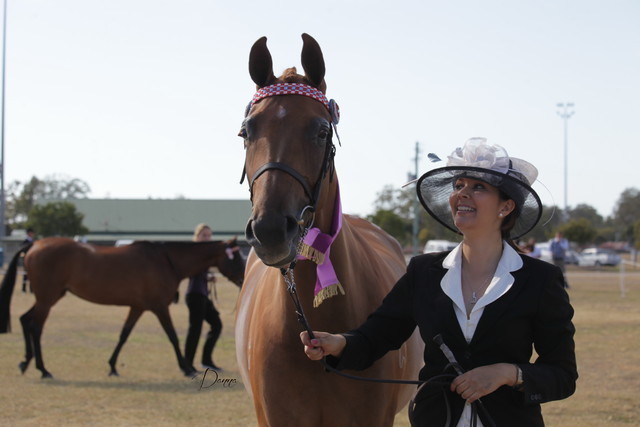 2012 Sprint Affair - Queensland Australia