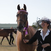 2012 Sprint Affair - Queensland Australia