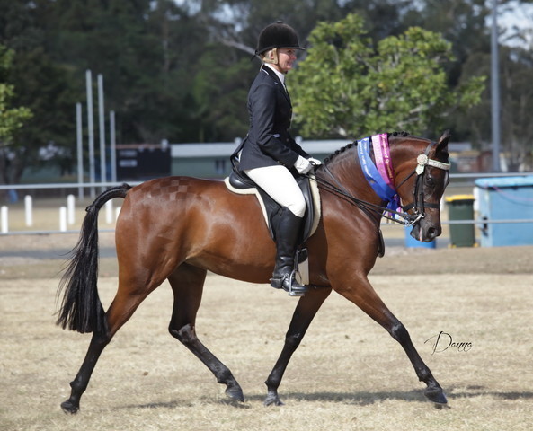 2012 Sprint Affair - Queensland Australia
