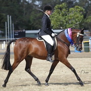 2012 Sprint Affair - Queensland Australia