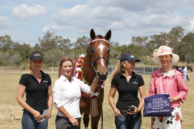 2012 Sprint Affair - Queensland Australia