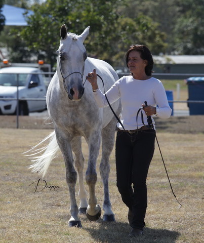 2012 Sprint Affair - Queensland Australia