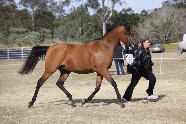 2012 Sprint Affair - Queensland Australia