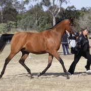 2012 Sprint Affair - Queensland Australia
