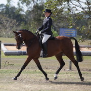 2012 Sprint Affair - Queensland Australia