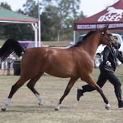 2012 Sprint Affair - Queensland Australia