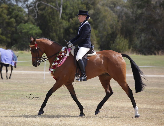 2012 Sprint Affair - Queensland Australia