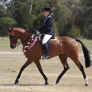 2012 Sprint Affair - Queensland Australia