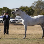 2012 Sprint Affair - Queensland Australia