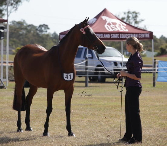 2012 Sprint Affair - Queensland Australia