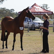 2012 Sprint Affair - Queensland Australia