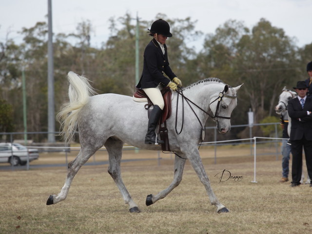 2012 Sprint Affair - Queensland Australia