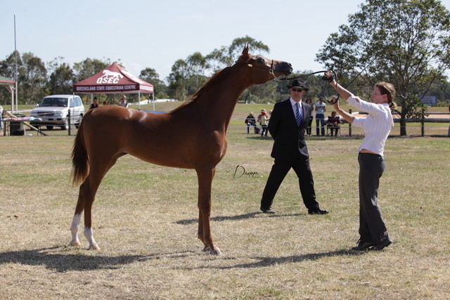 2012 Sprint Affair - Queensland Australia