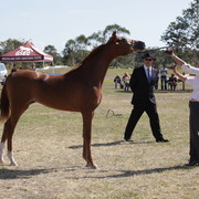 2012 Sprint Affair - Queensland Australia