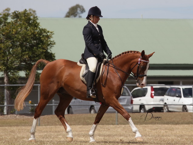 2012 Sprint Affair - Queensland Australia