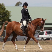 2012 Sprint Affair - Queensland Australia