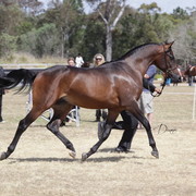 2012 Sprint Affair - Queensland Australia