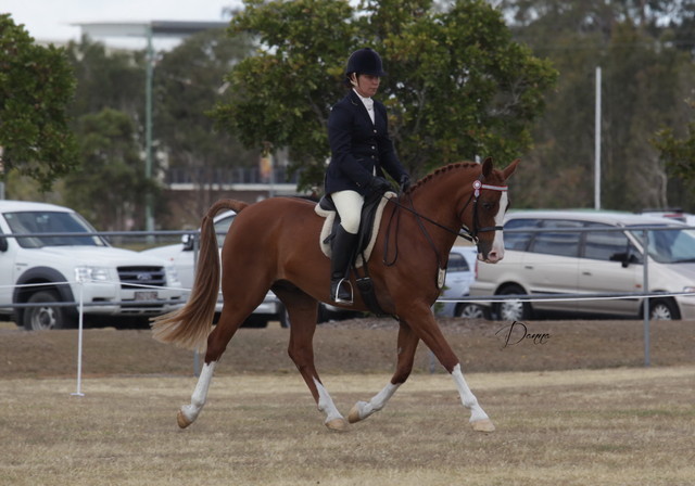 2012 Sprint Affair - Queensland Australia