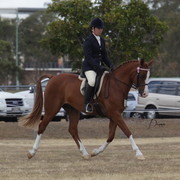 2012 Sprint Affair - Queensland Australia