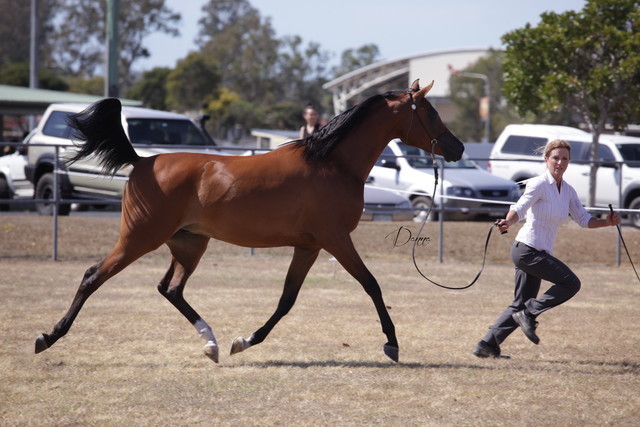 2012 Sprint Affair - Queensland Australia