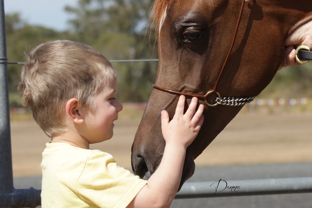 2012 Sprint Affair - Queensland Australia