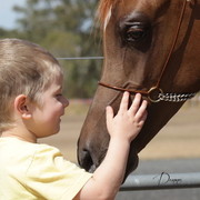2012 Sprint Affair - Queensland Australia