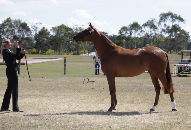 2012 Sprint Affair - Queensland Australia