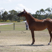 2012 Sprint Affair - Queensland Australia