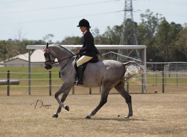2012 Sprint Affair - Queensland Australia