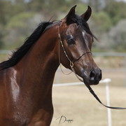 2012 Sprint Affair - Queensland Australia