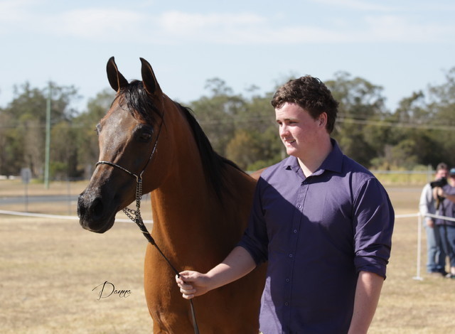 2012 Sprint Affair - Queensland Australia