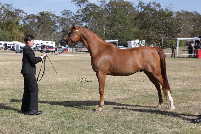 2012 Sprint Affair - Queensland Australia