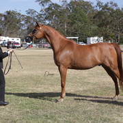 2012 Sprint Affair - Queensland Australia