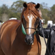 2012 Sprint Affair - Queensland Australia