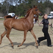 2012 Sprint Affair - Queensland Australia