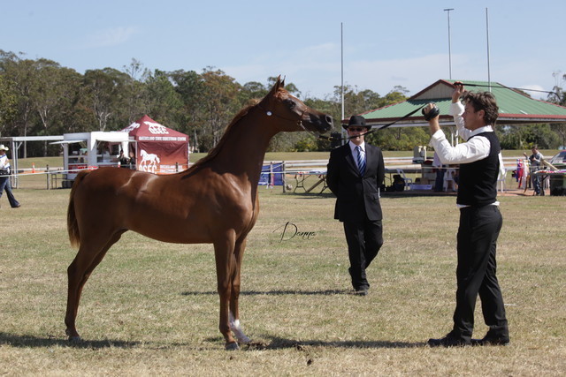 2012 Sprint Affair - Queensland Australia