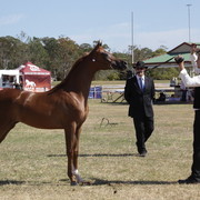 2012 Sprint Affair - Queensland Australia