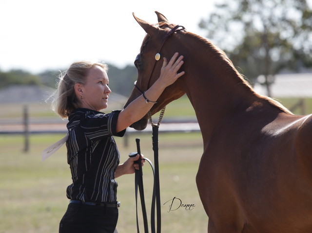 2012 Sprint Affair - Queensland Australia