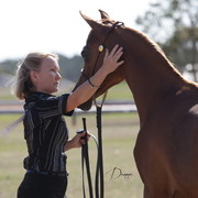2012 Sprint Affair - Queensland Australia